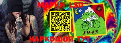 гидропоника Ставрополь