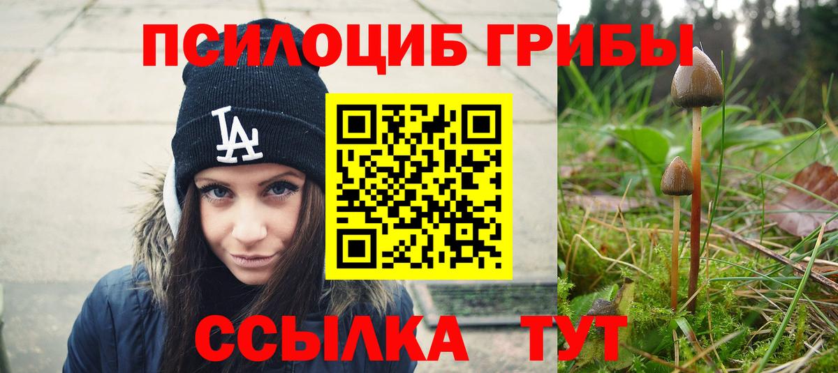 Псилоцибиновые грибы мицелий  Вход с VPN  Первоуральск 